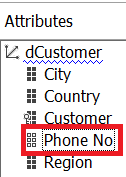 Figure 9 - [Phone No] Attribute as Member Property